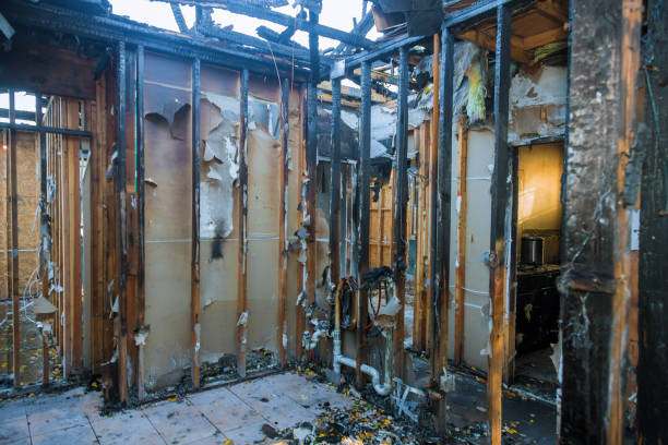 Professional Fire Damage Assessment technician working in Union City, IN